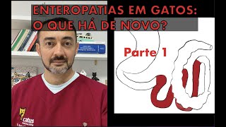 DOENÇA INTESTINAL INFLAMATÓRIA E LINFOMA ALIMENTAR- PARTE 1