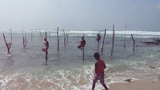 Still Fisherman - Weligama Beach - Sri Lanka #shorts