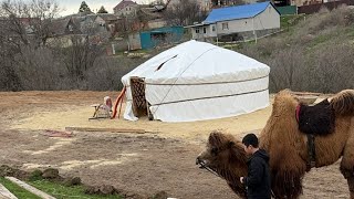 Куда поехать в Элисте