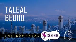 Taleal Bedru | Enstrümantal Fon Müziği | Turkish Instrumental Music