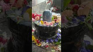 Om namah shivaya short video DJ remix#shorts #shortsviral #rknaresh129