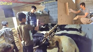 A warm house for sheep: Aghaqarboun's new plastering against severe cold"