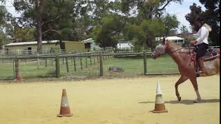 Marcia riding Killara at extended trot.