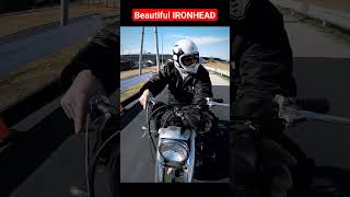 sportster ironhead video lineup (6) #short #fyp #sportsterironhead #harleytua #ironhead  #sportster