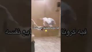 بايع نفسه 🤣