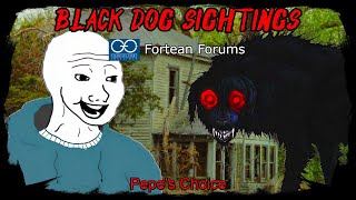 Black Dog Sightings | 4chan /x/ | Fortean Forums | Creepy Horror Stories