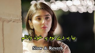 bya ba de nom pa kholawanlama benaga yara (Slowed+Reverb) Pashto love song | Sad Song |