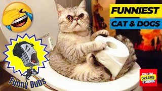 Funniest Cats and Dogs Funny Dubs New | Digital Dreams Studios