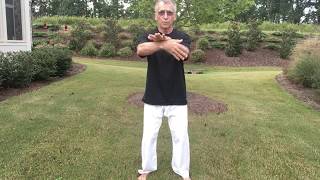 Tai Chi  Yang Form 24 Lesson 4 Grasp the Sparrow's Tail on Left