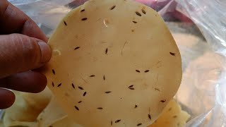 Rice Flour Papad | चावल के आटे के पापड बनाने का सबसे आसान तरीका | chawal ke papad Recipe