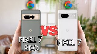 Pixel 7 Pro vs Pixel 7 Full Comparison