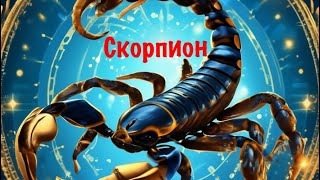 Скорпион знак зодиака #астрология #знакизодиака #знакзодиака корпион