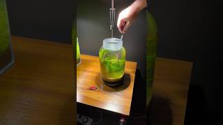 Planting stem plants in my nano jar aquarium