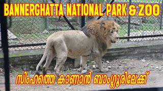 ഒരു കിടിലൻ സഫാരി | Bannarghata National Park | Bangalore