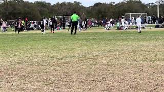 Sarasota tournament. Florida premier.  1/14/24 - 4