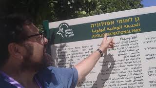 Apolinia National Park -Tour Israel with David Ringler - Privet Tour Guide -