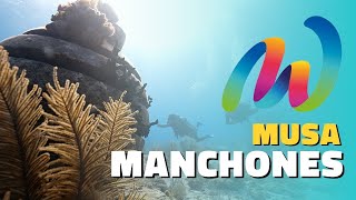 Conoce MUSA Manchones