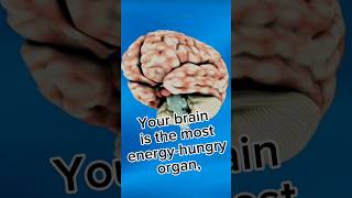 You have a very hungry brain! ✨️