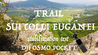 Vlog a caso - Trail sui Colli Euganei - stabilization test DJI OSMO POCKET