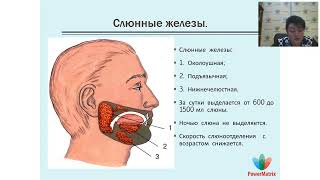 Здоровье зубов. К.м.н. Засорина Л.В.