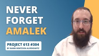 Project 613 #304 - Never Forget Amalek