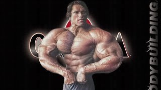 NEVER GIVE UP | Arnold Schwarzenegger - Best Motivational Speech