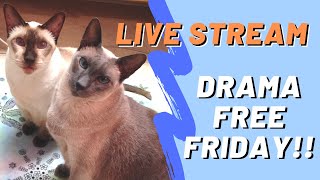 LIVE! - Drama-free Friday! 11-018-2022 - with Barb