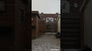 snow fall #viral #shorts #snow