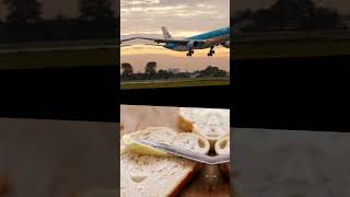 Spot the differences (hard) #plane #butterlanding