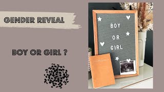 Das Outing I Gender Reveal I Boy or Girl I Wir bekommen ... I Bea