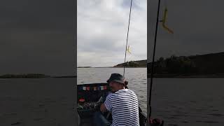 Рыбалканаволге#fishing #volga #калмыкия #цаган