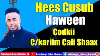 C/kariim Cali shaah || Heestii Haween ||2020