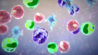 How The Immune System Works | Merck Manual Consumer Version