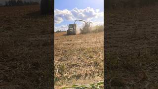 John Deere 💚💛🦌💪🔥😎🎉🚨💯🚜 #harvest #agriculture #farming #farmlife #landwirtschaft #johndeere  #sunset