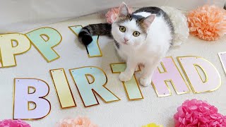 みり4才のお誕生日会。-Miri’s 4th Birthday Party.-