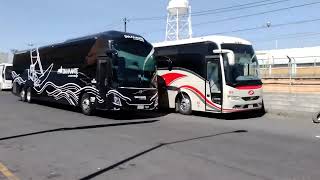 Volvo 9800 Estrella de oro diamante