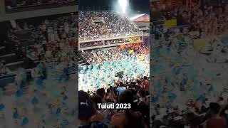 Paraíso do Tuiuti 2023