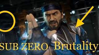 MORTAL KOMBAT 11 SUB-ZERO BRUTALITY*