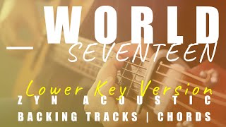 _WORLD (Lower Key Ver.) - SEVENTEEN | Acoustic Karaoke | Chords