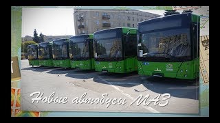 НОВИНКА! Новые Коммунальные Автобусы МАЗ-206 г. Житомир | "City Transport" Buses MAZ-206