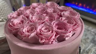 Review Rose Forever New York - Passion Pink Suede Pearl Pink Preserved Roses