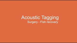 Acoustic Tagging: Fish Recovery