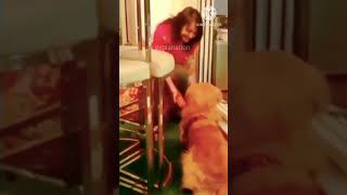 Entertainment😯 with dog. OMG So Cute Dog😲😲#shorts #youtubeshorts