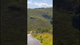 Pudsey Clough, Todmorden