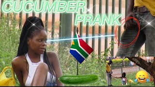 FAKE CUCUMBER PRANK 🥒 in South Africa (Prt 4) 😂🇿🇦😹 | WENT EXTREMELY INSANE