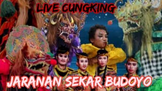 📽️ Jaranan Sekar Budoyo Live Cungking