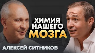 Как гормоны нас формируют? Секреты мозга | Алексей Ситников