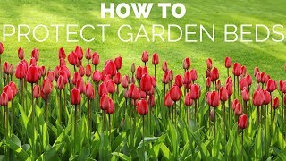 How To Protect Garden Beds