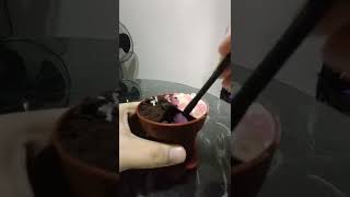 Mini Flower Pot Oreo bubble Cake 盆栽奥利欧小蛋糕