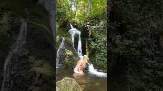 L'eau est froide, mais on s'y habitue vite